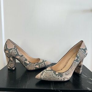 Vince Camuto Candera Pointed Toe Leather Pumps